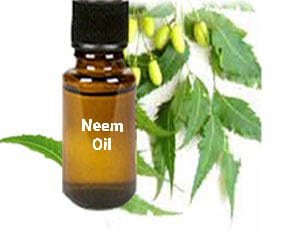Neem Oil